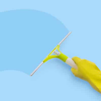 WINDOW CLEANING